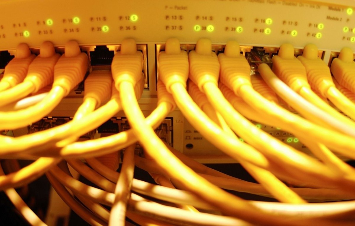 Server mit zahlreichen LAN-Kabeln