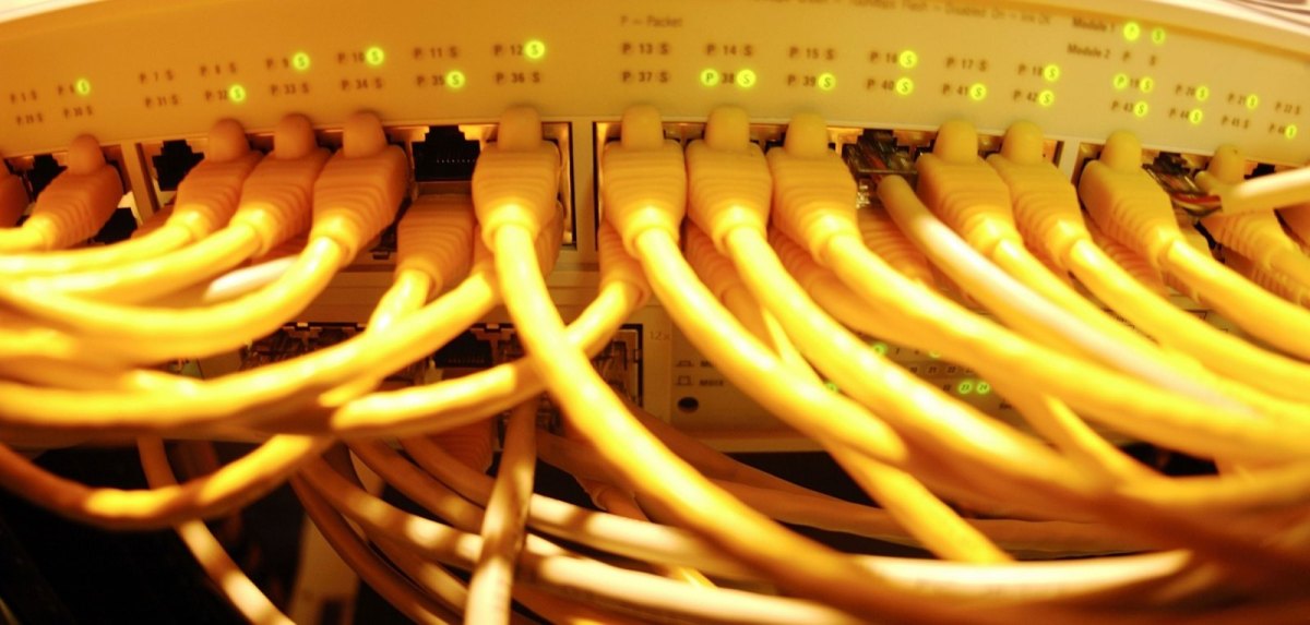 Server mit zahlreichen LAN-Kabeln
