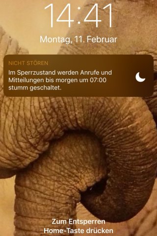 Trotzdem bleiben Anrufe und Benachrichtigungen auf deinem iPhone stumm.