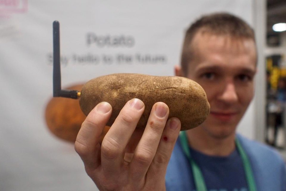 Die "smarte Kartoffel" als Alexa-Alternative: So soll Amazon geschlagen werden.