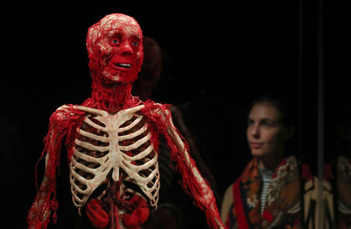 Plastinierter Mensch aus der Ausstellung Körperwelten