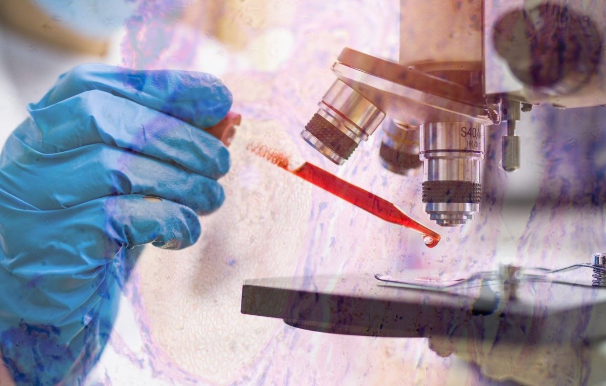 Mikroskop und Pipette