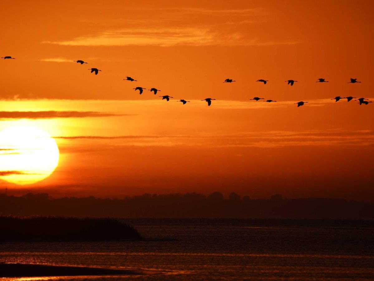 Ein Sonnenaufgang