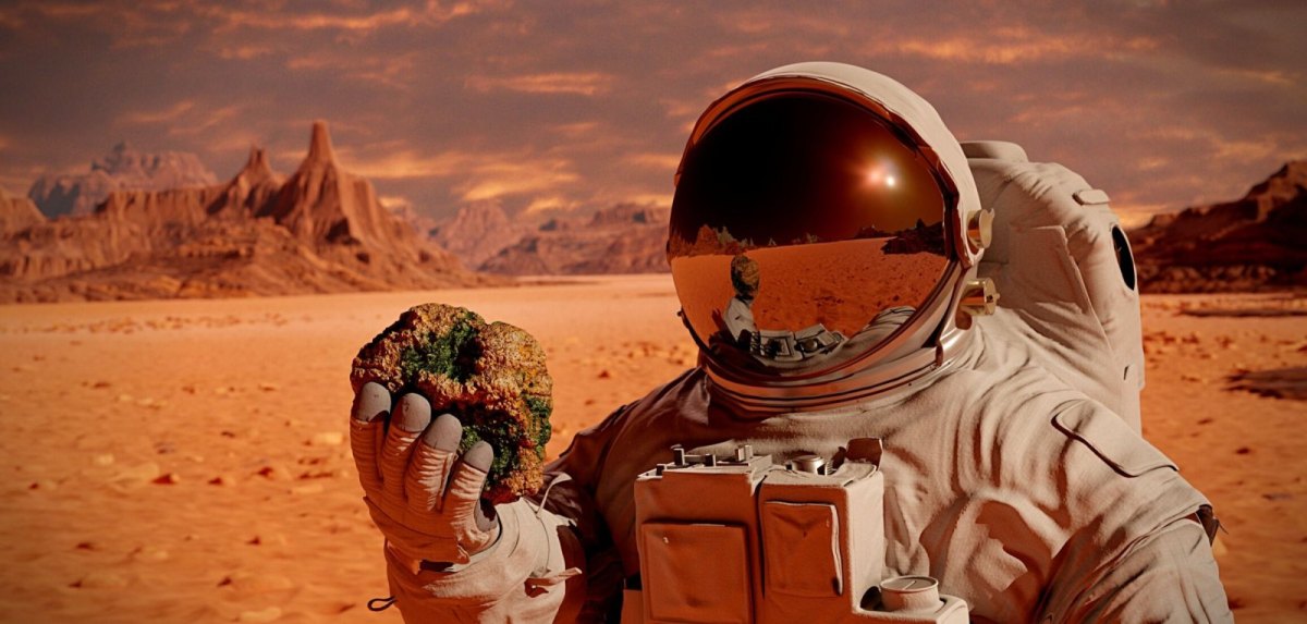 Astronaut mit Mars-Gestein in der Hand