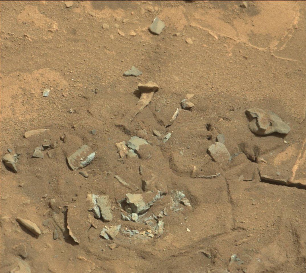 Eines der Mars-Bilder der NASA zeigt ein vermeintliches Zeichen für Leben auf dem Mars: einen angeblich menschlichen Knochen.