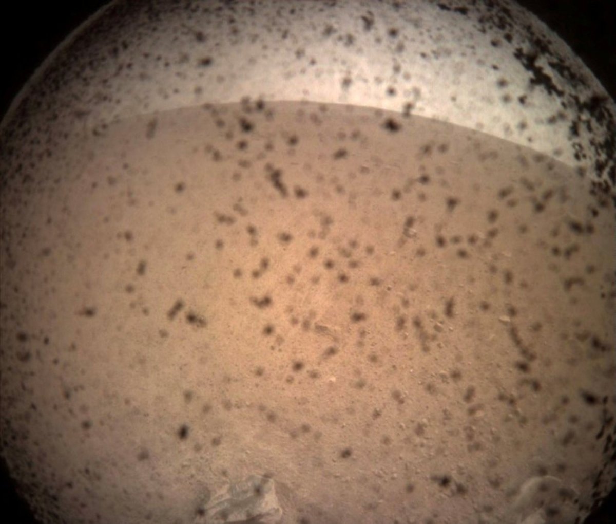 Das erste Bild von NASAs Mars Lander Insight