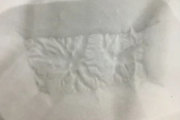 Araneiformen in einer simulierten Mars-Oberfläche.