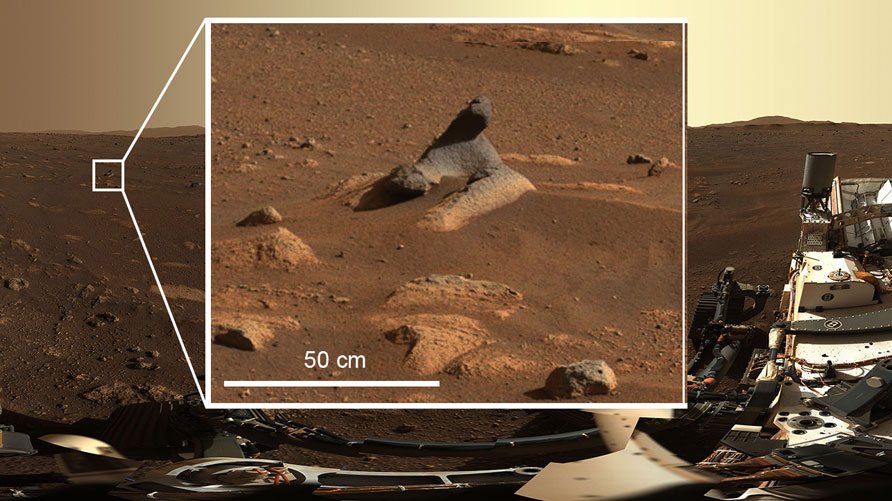 Der seltsame geformte Stein, den NASAs Mars-Rover "Perseverance" festgehalten hat, gleicht einem Seehund.