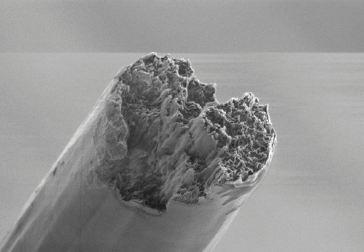 Biologisch abbaubare künstliche Zellulosefasern unter dem Mikroskop