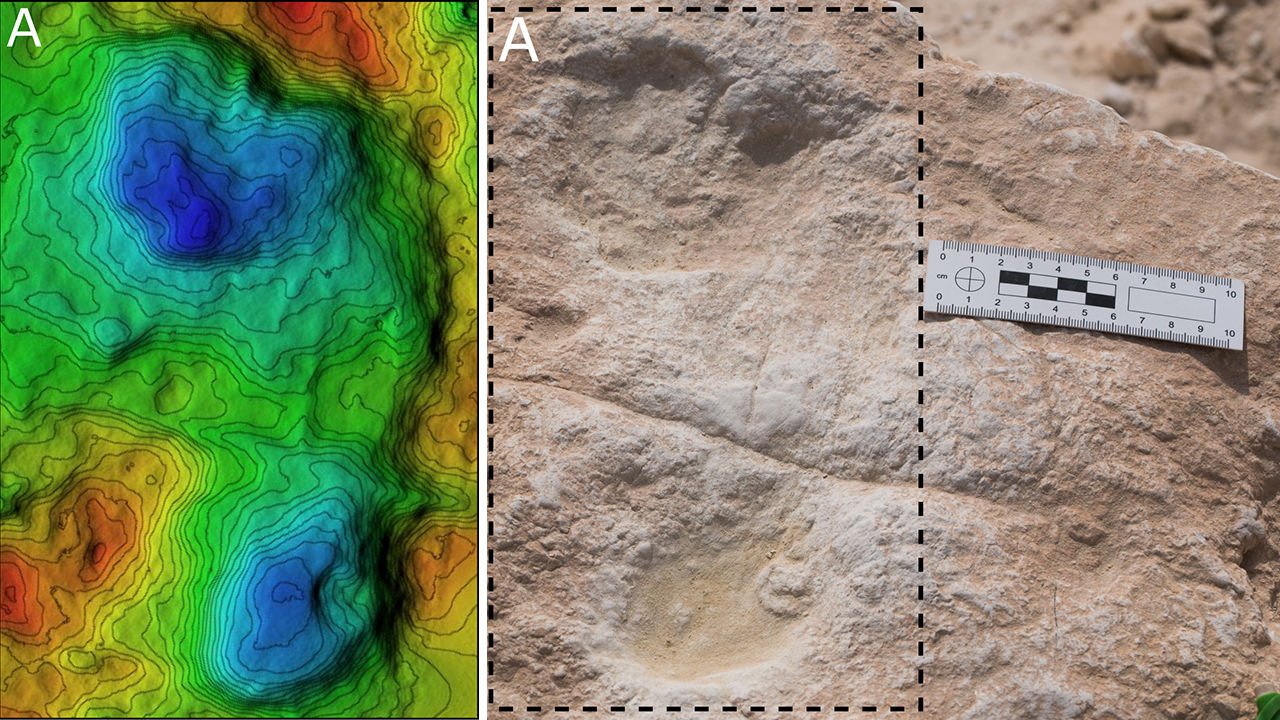 Eine Analyse der Fußspur und der Umgebung lässt vermuten, dass vor ungefähr 120.000 Jahren tatsächlich eine Gruppe von Homo Sapiens am Seeufer rasteten.
