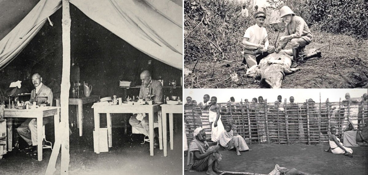 Robert Koch in Deutsch-Ostafrika und Uganda