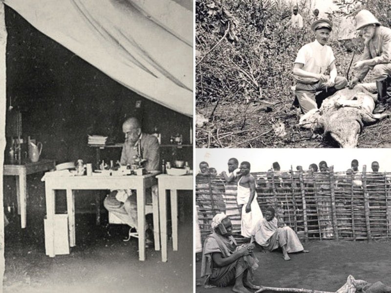 Robert Koch in Deutsch-Ostafrika und Uganda