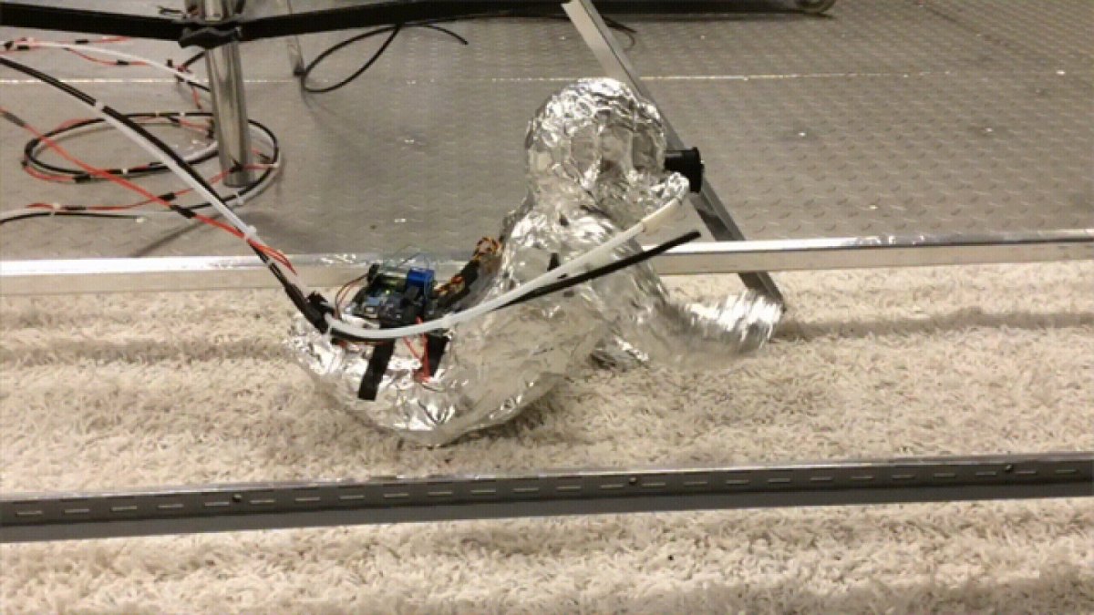kleiner Roboter in Alufolie kriecht über einen Teppich