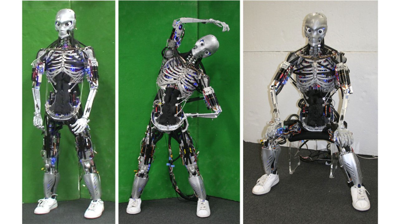 Der humanoide Roboter Kenshiro hat die Statur eines 13-jährigen Jungen.