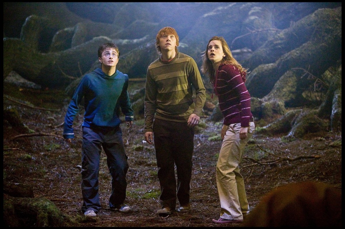 Harry Potter und seine Freunde Ron und Hermine.