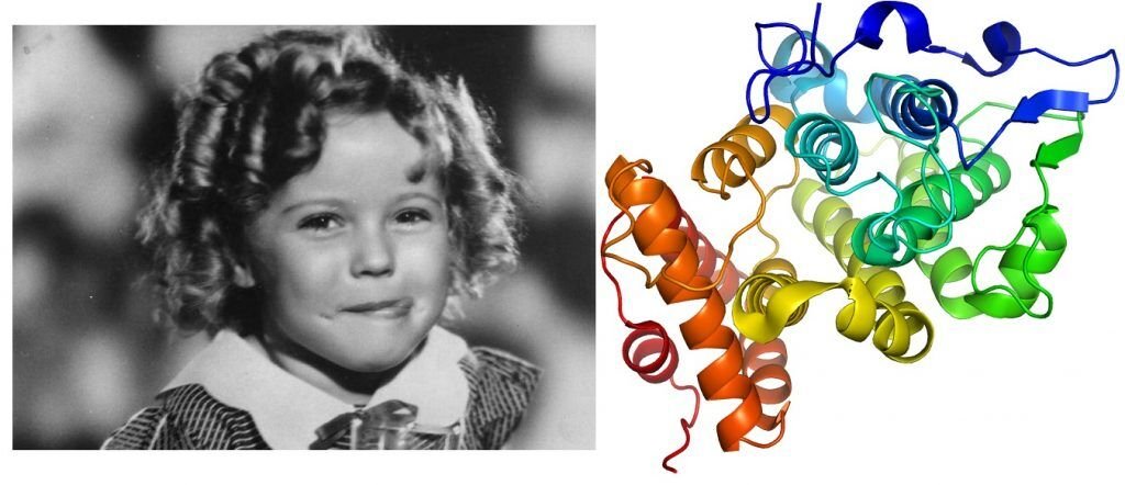 Das entdeckte Protein wurde "Shirley Temple" getauft, da seine Struktur den Locken der berühmten Kinderschauspielerin ähnelt.