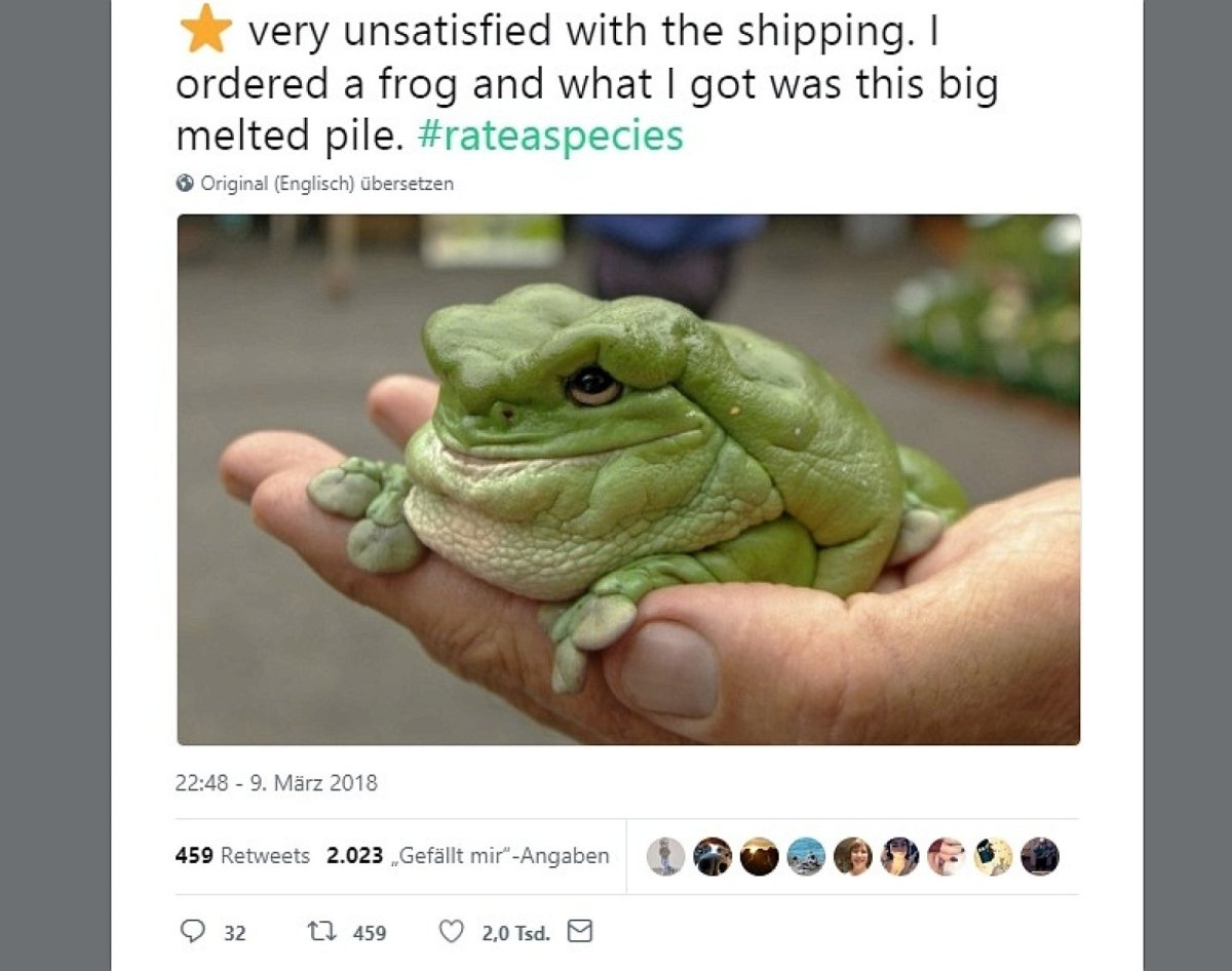 Eine Person hält einen Frosch in der Hand.
