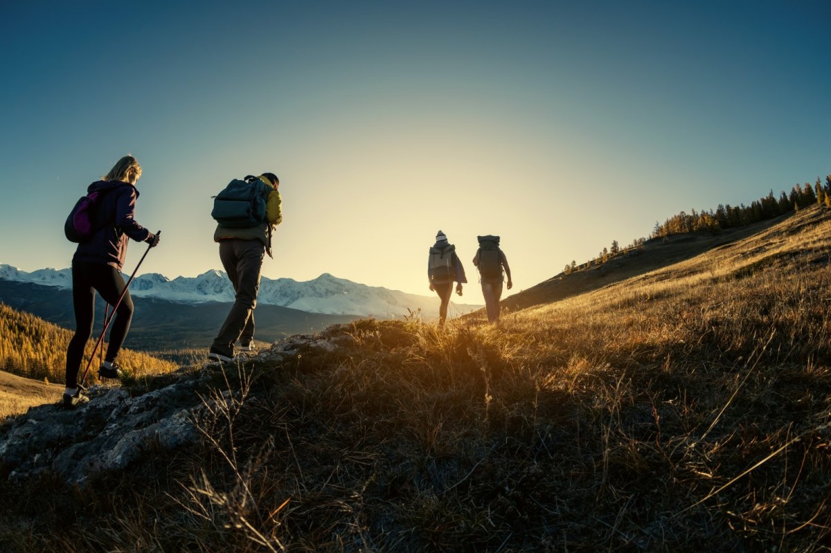 freunde gehen wandern