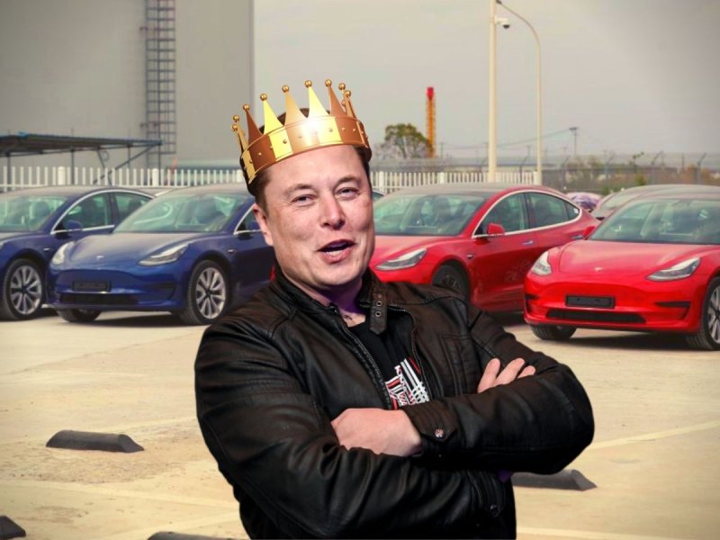 Elon Musk mit einer Krone