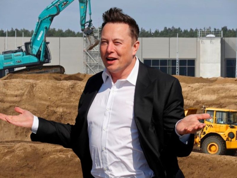 Tesla-CEO Elon Musk