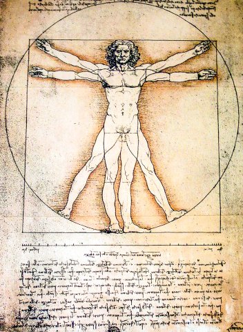 Die Abbildung des vitruvianischen Menschen von Leonardo da Vinci.