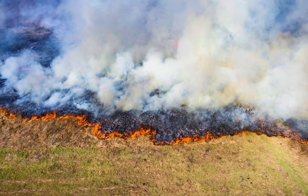 Waldbrand