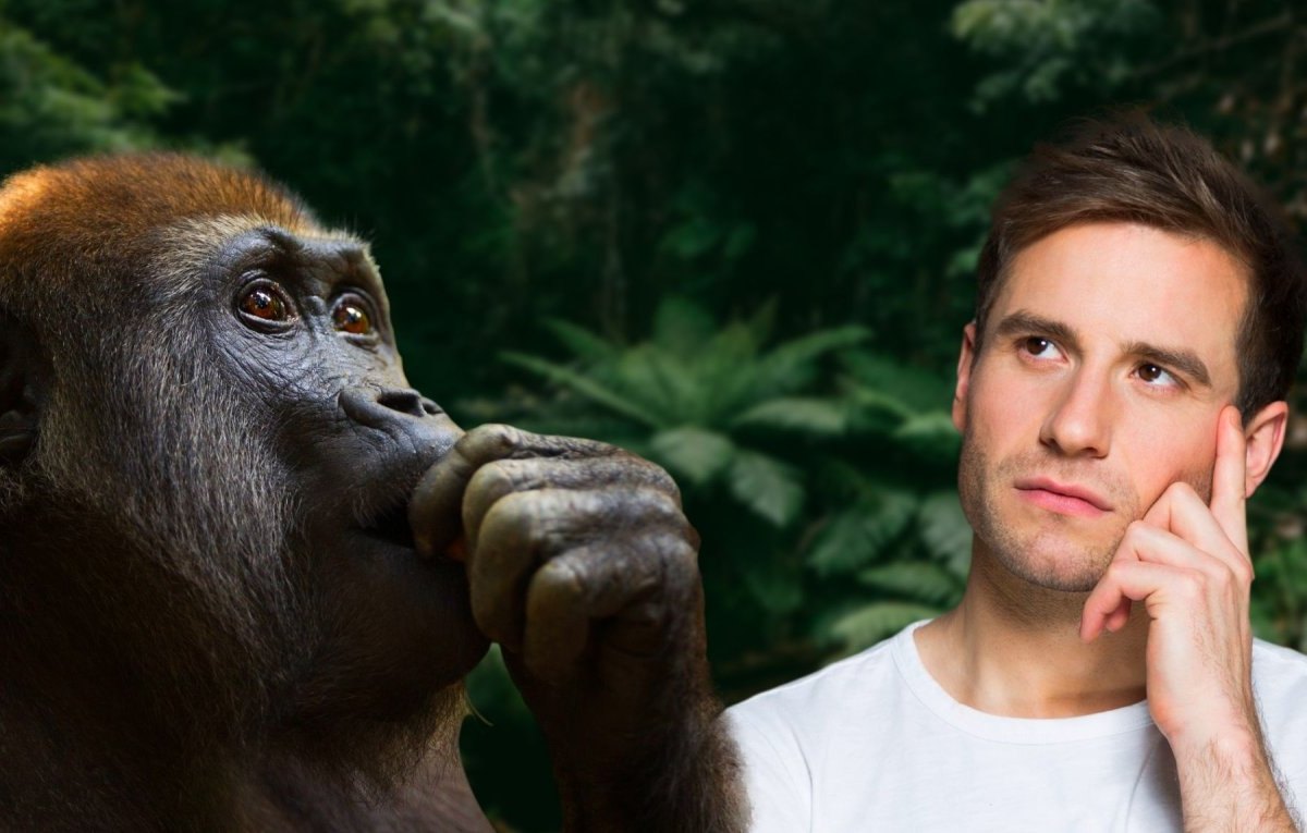 Affe und Mann