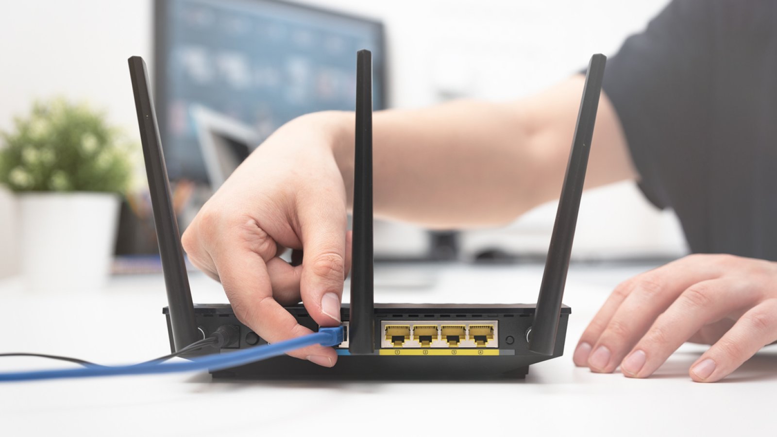TP-Link-Router-Reset: So klappt das Zurücksetzen garantiert