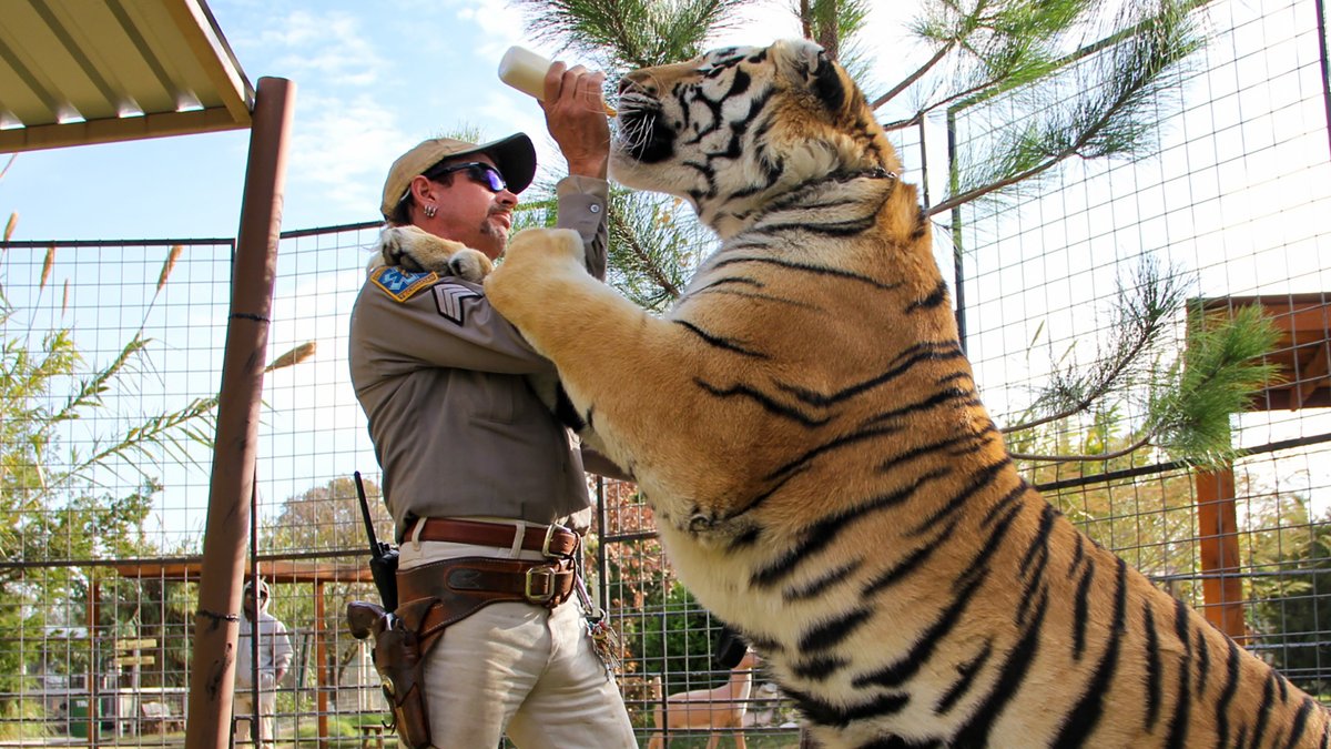 Auch in "Tiger King 2" geht es eher um Menschen als um Großkatzen.... © ©2020 NETFLIX