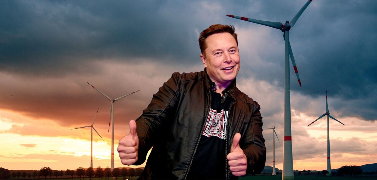 Elon Musk vor Windrädern
