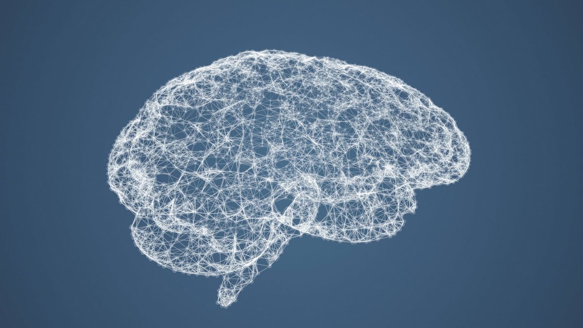 Illustration menschliches Gehirn