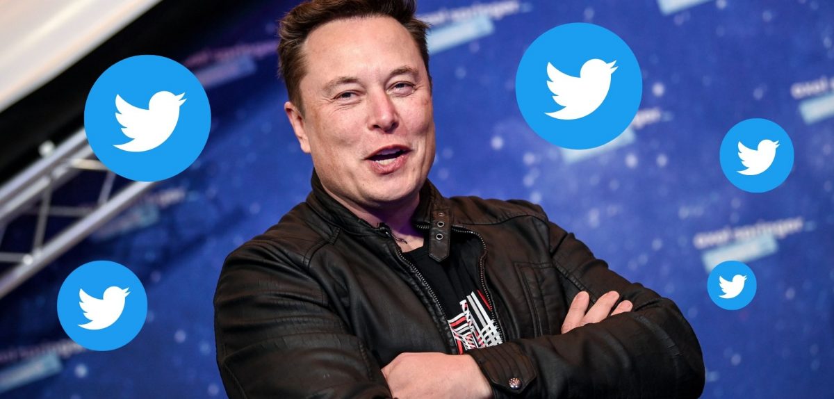 Elon Musk umgeben vom Twitter-Vogel.