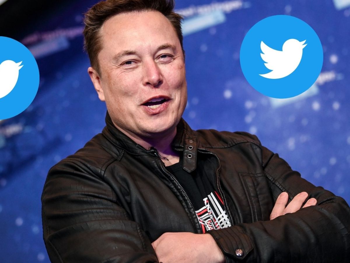 Elon Musk umgeben vom Twitter-Vogel.