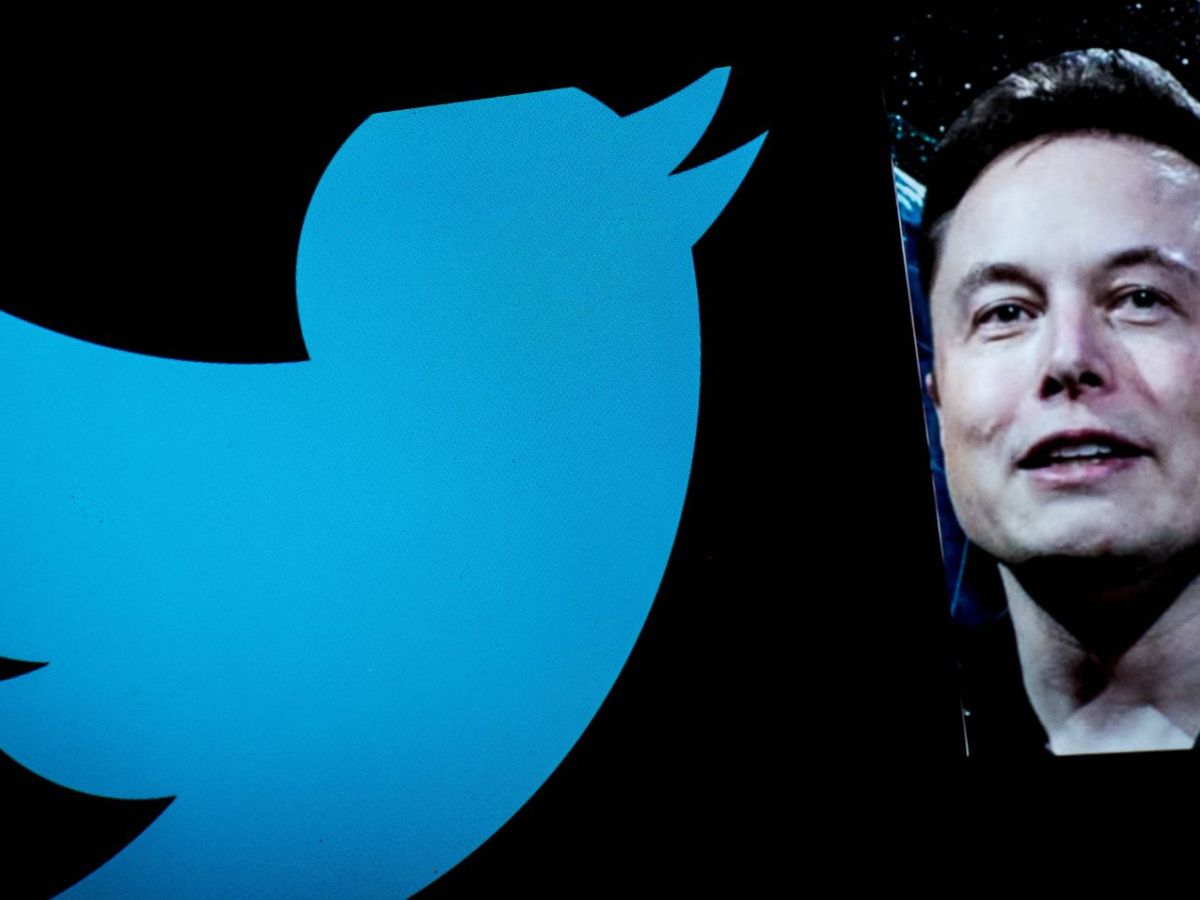 Elon Musk neben einem Twitter-Logo.