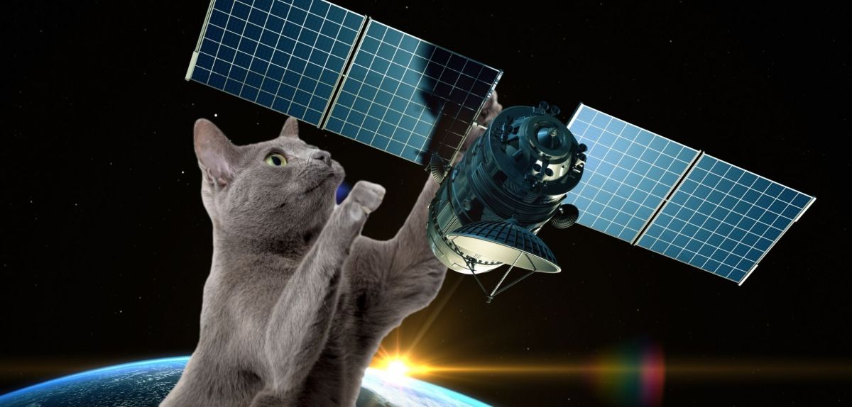 Katze mit einem Satelliten