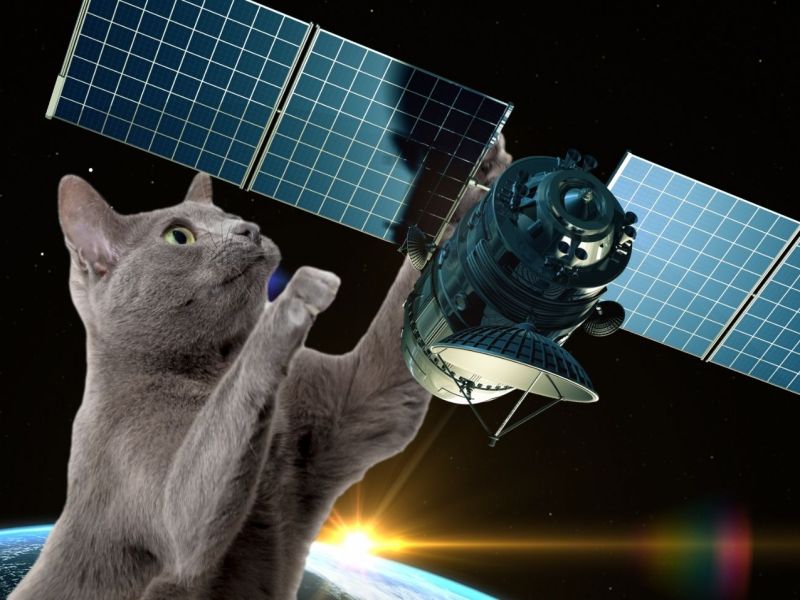 Katze mit einem Satelliten