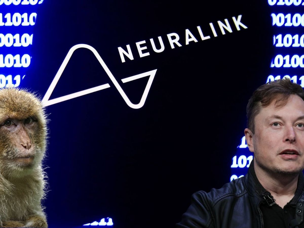 Neuralink-Logo, Elon Musk und ein Affe.