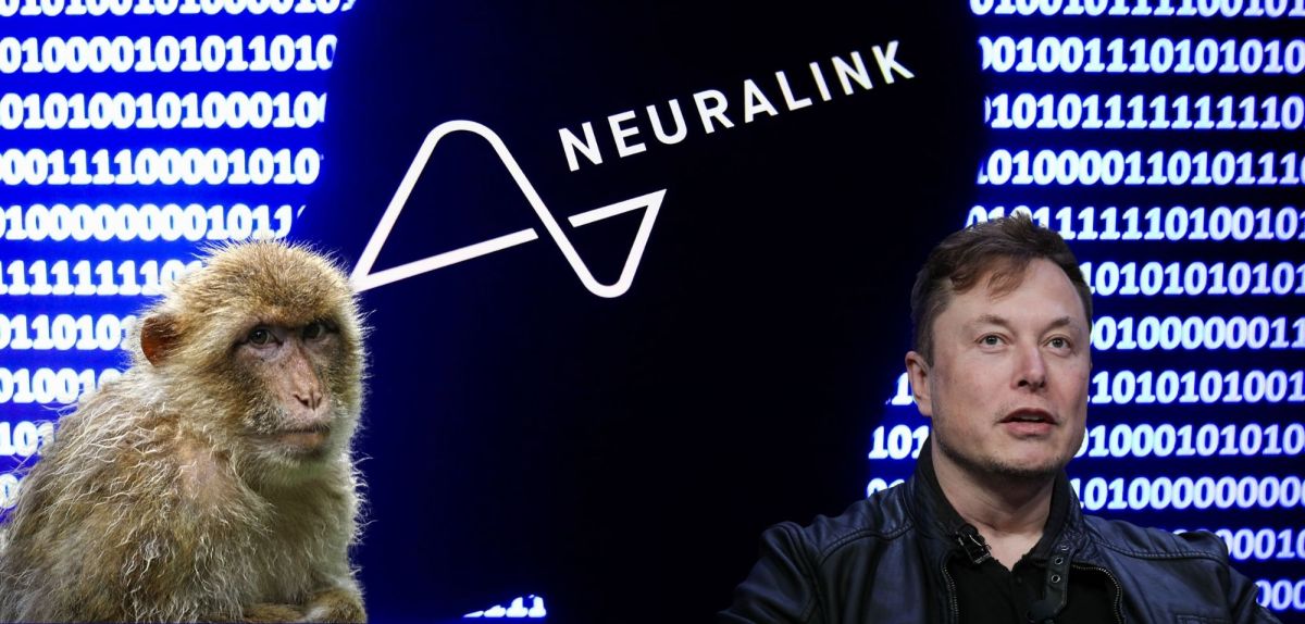 Neuralink-Logo, Elon Musk und ein Affe.