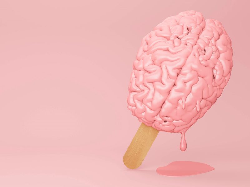 Gehirn an einem Eisstiel