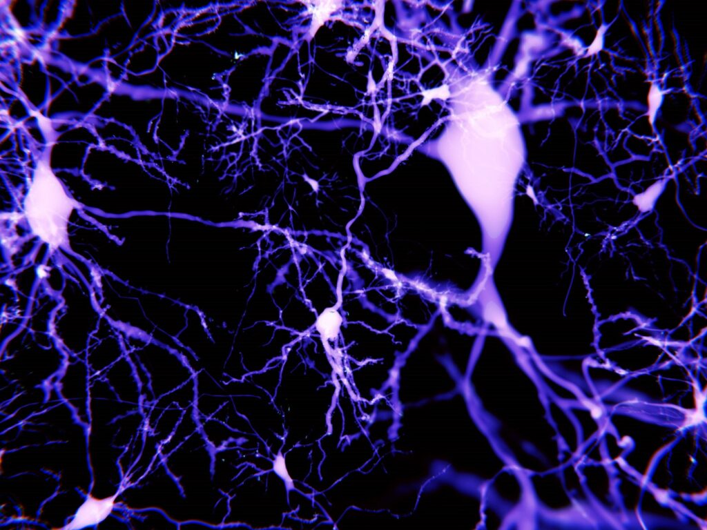 Darstellung eines neuronalen Netzwerks 