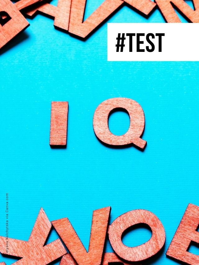 IQ-Test in nur 3 Fragen