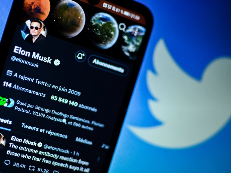 Twitter-Profil von Elon Musk vor dem Twitter-Logo