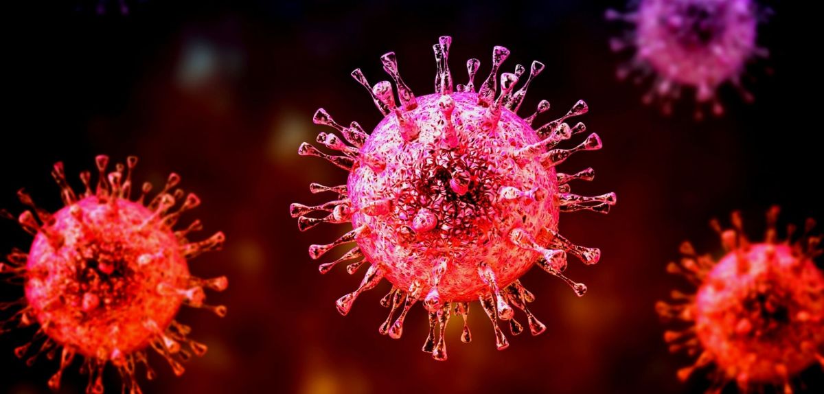 herpes-virus-studie