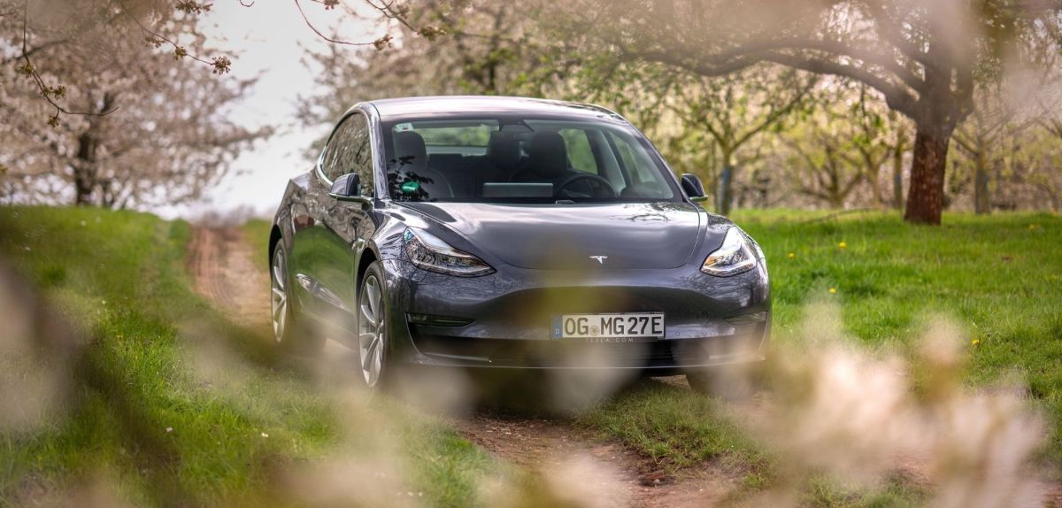 Ein Model 3 von Tesla im Wald.