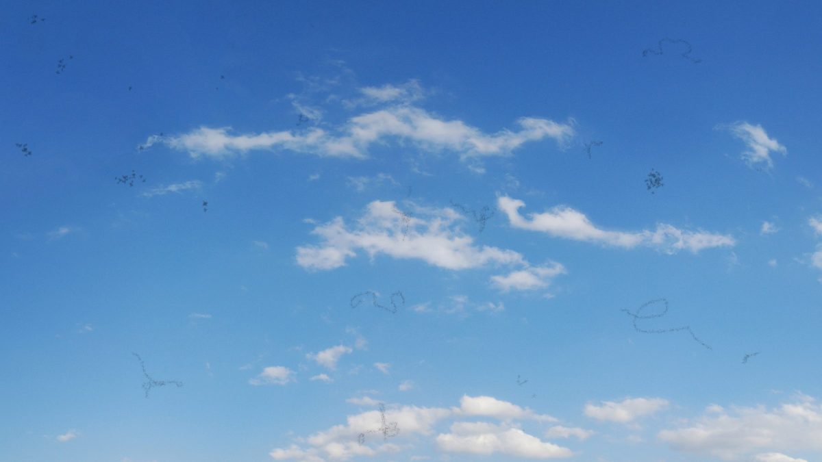 Blick auf den Himmel mit Glaskörpertrübung