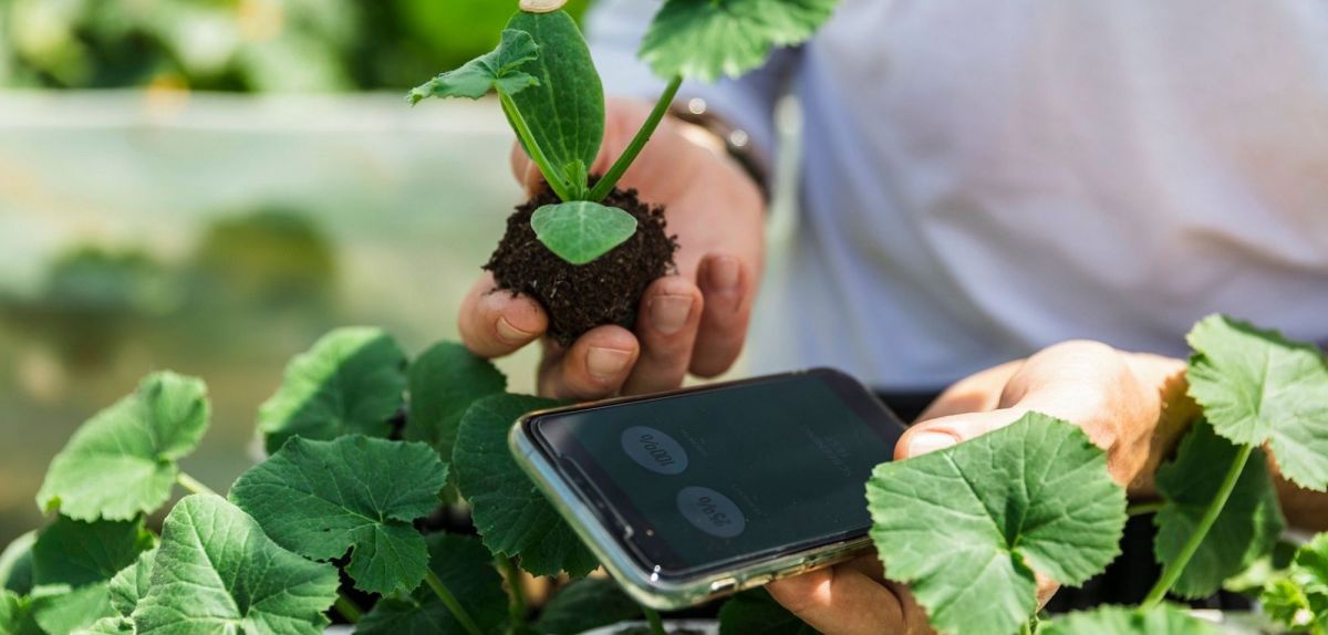 Amazon Alexa-Trick: Darum solltest du die Sprachassistentin jetzt im Garten verwenden