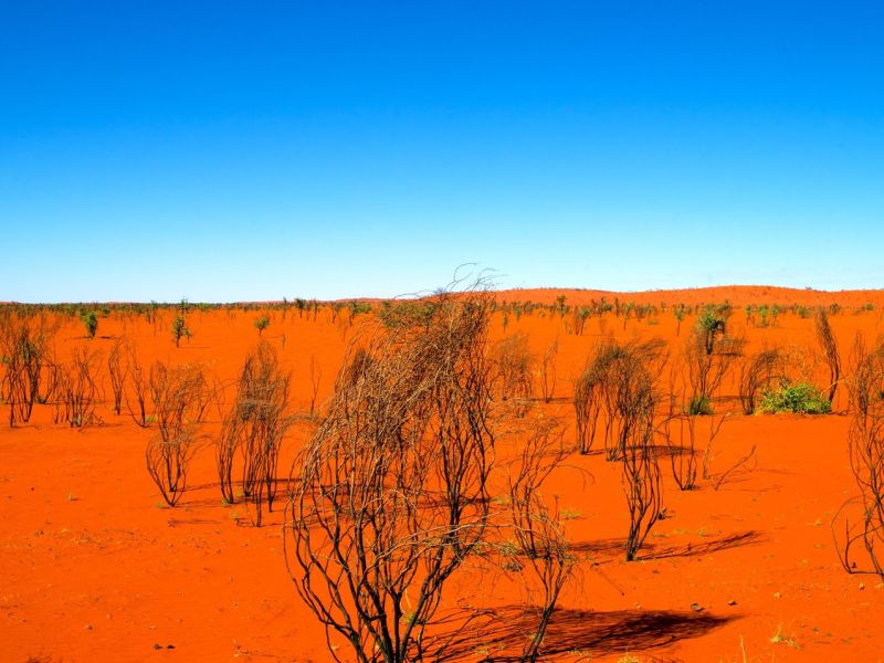 Wüste in Australien.