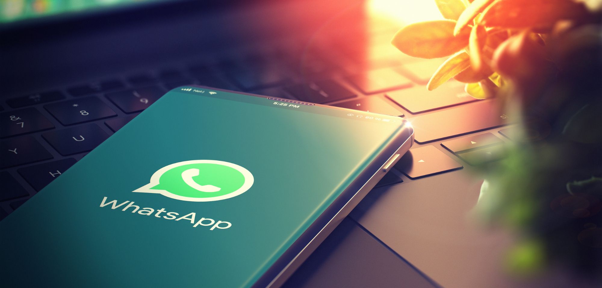 La fonctionnalité WhatsApp peut vous rendre malade – désactivez-la maintenant