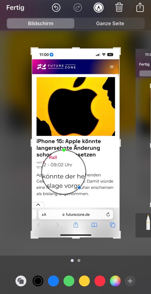 Bildschirmlupe Screenshotoptionen 