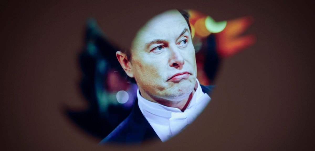 Elon Musk hinter einem ausgeschnittenen Twitter-Logo.
